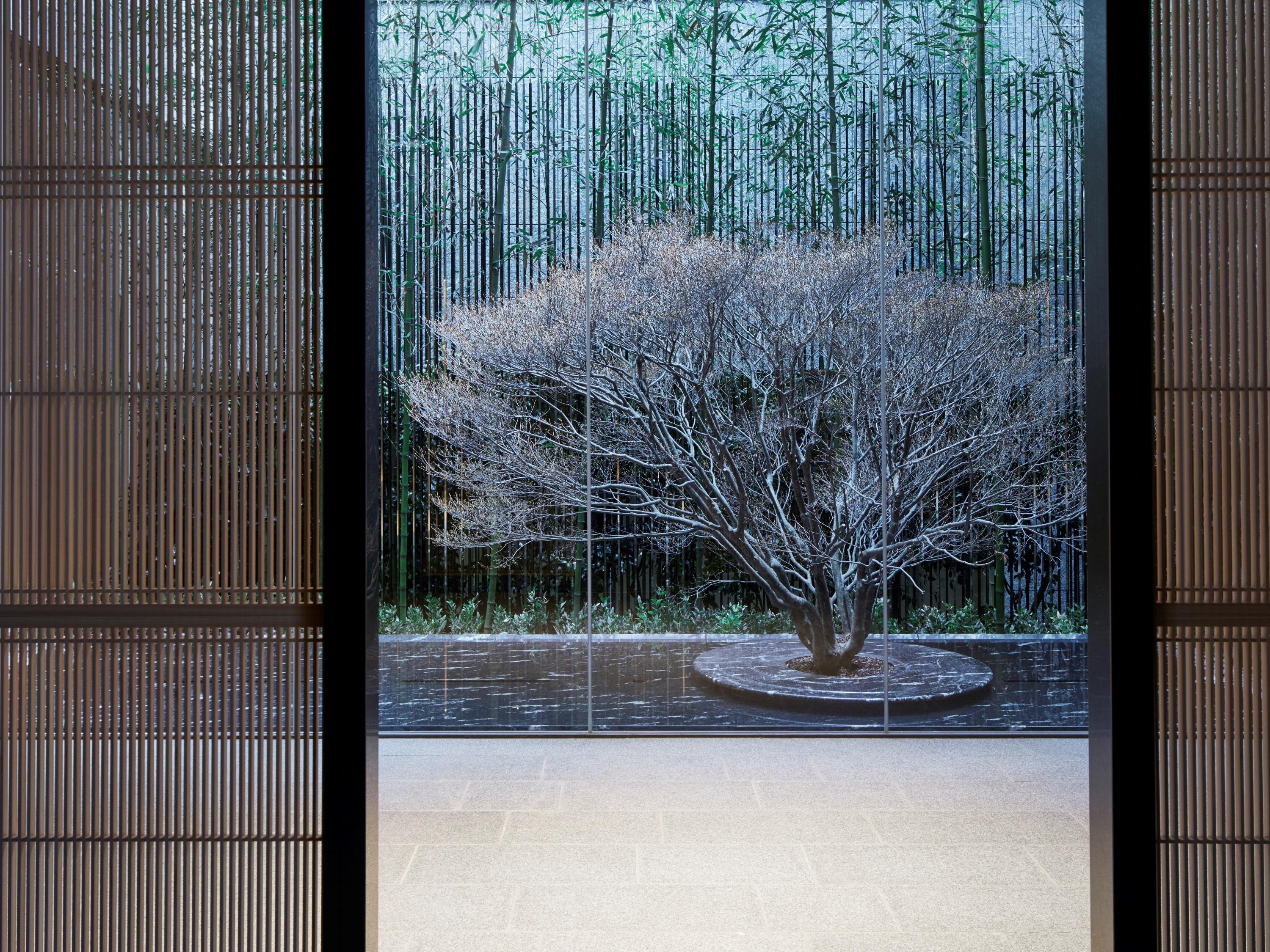 The Thousand Kyoto Exterior foto A view of the garden from the house
